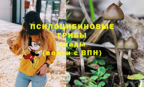 дурь Кулебаки