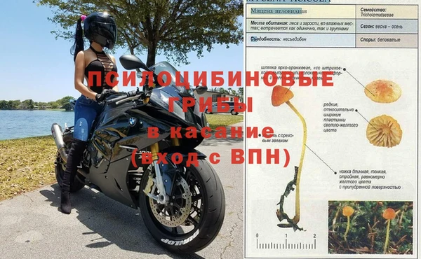 дурь Кулебаки